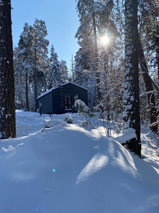 Tammikon Tupa Villa Tuusula Buitenkant foto